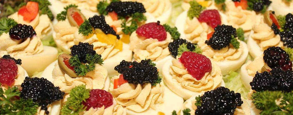 Themeix Is The Best IT farm In The World